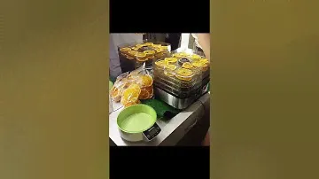 фруктовые чипсы из апельсина