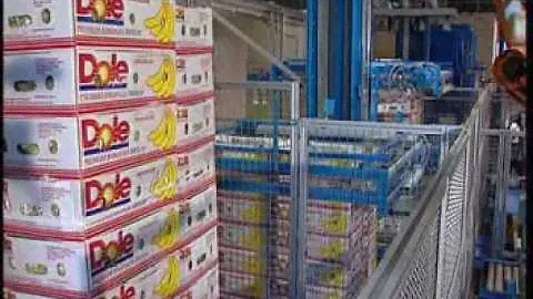 Depalletizing and palletizing of banana cartons - KUKA Robot KR 160 PA