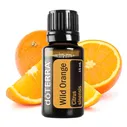 Дикий апельсин Citrus sinensis