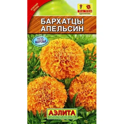 Бархатцы прямостоячие Апельсин