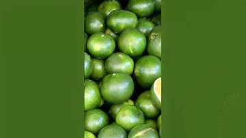 Происхождение апельсинов, апельсины на самом деле гибрид
