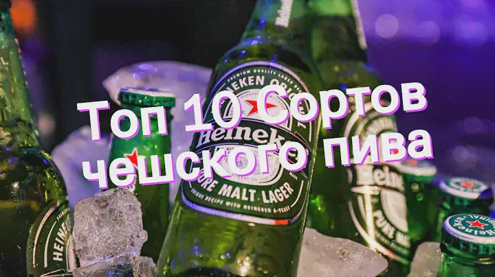 Топ 10 Сортов чешского пива