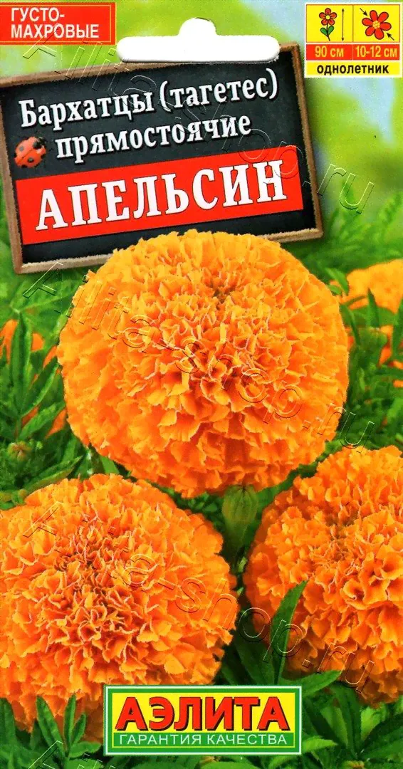 Бархатцы Апельсин прямостоячие 0,3г-1