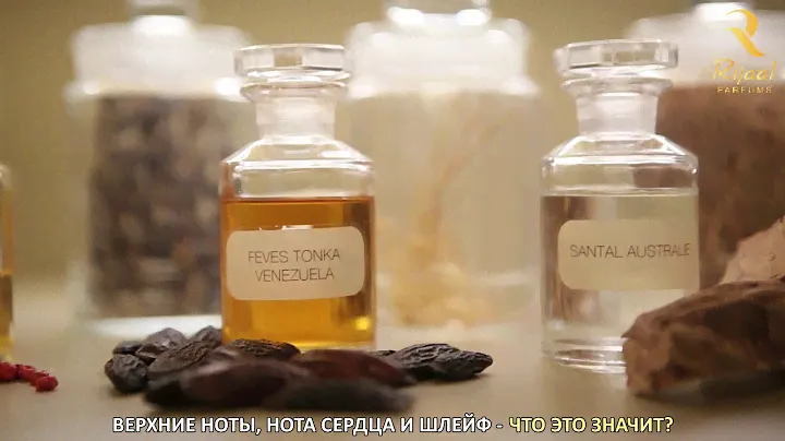 Верхние ноты, нота сердца и шлейф — что это значит?