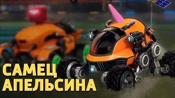 Самец апельсина /Rocket League