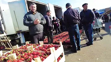 Фуд Cити, главный рынок Москвы и России, агрокластер.