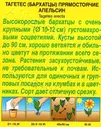 Бархатцы Апельсин прямостоячие 0,3г