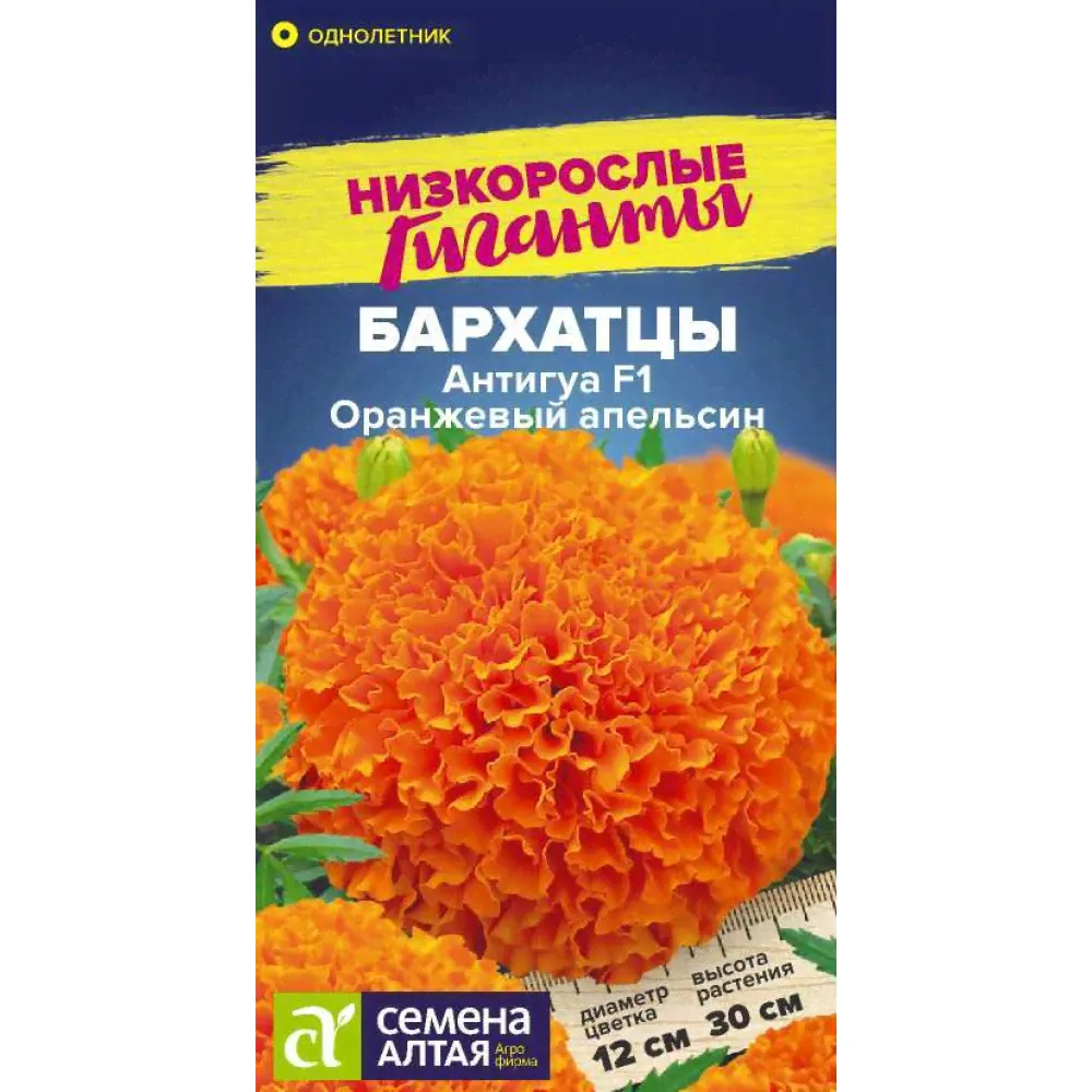 Цветы Бархатцы Антигуа Оранжевый апельсин/Сем Алт/цп 5 шт. Низкорослые гиганты-0