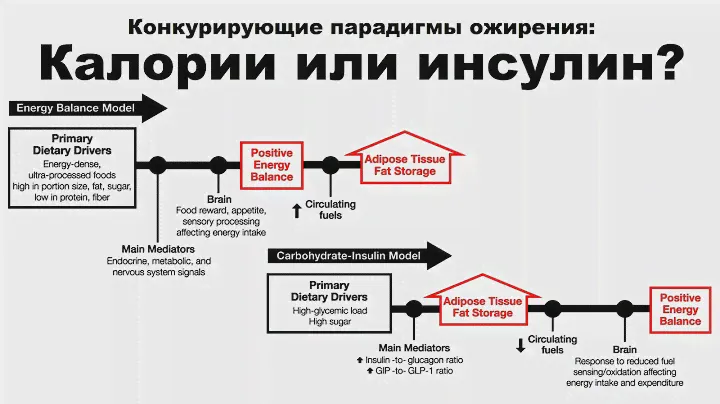 лекция: Конкурирующие парадигмы ожирения: Калории или инсулин?