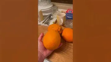 😵Гинантские апельсины🍊ШОК💥 Подпишись ✅ и узнайгде такие 👇