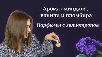 Парфюмы с запахом гелиотропа: миндальные, ванильные и сливочные ароматы