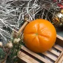 Профессиональная пластиковая форма Апельсин корка